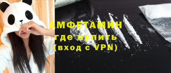 мдпв Бородино