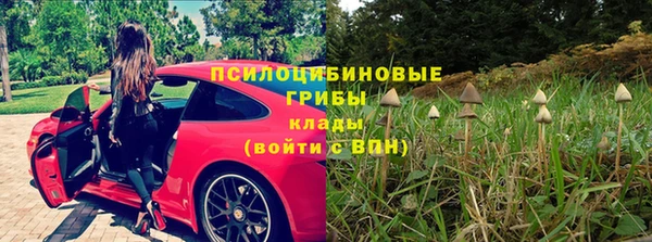 крисы Бронницы