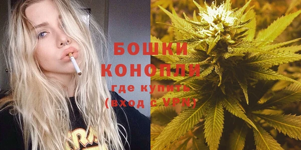 мдпв Бородино