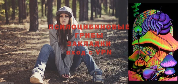 крисы Бронницы