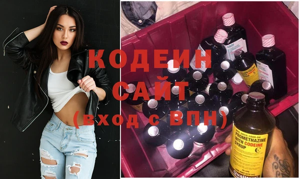 мдпв Бородино