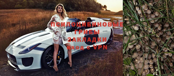 мдпв Бородино