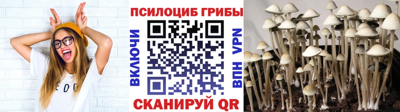 Галлюциногенные грибы мицелий  что такое   Махачкала 